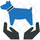 پیش‌نمایش فایل dog-care-2969032 از پک ریسک و بیمه