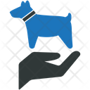 پیش‌نمایش فایل pet-care-2964031 از پک ریسک و بیمه