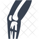 پیش‌نمایش فایل broken-leg-3007399 از پک پزشکی و مراقبت سلامت