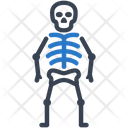 پیش‌نمایش فایل human-skeleton-3007382 از پک پزشکی و مراقبت سلامت