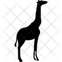 پیش‌نمایش فایل giraffa از پک حیوانات