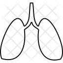 پیش‌نمایش فایل lungs-26 از پک اعضای بدن