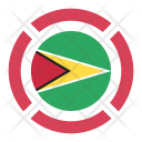 پیش‌نمایش فایل guyana-33 از پک رنگ پرچم کشور