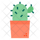 پیش‌نمایش فایل cactus-1510517 از پک کاکتوس
