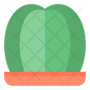 پیش‌نمایش فایل cactus-1510519 از پک کاکتوس