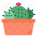 پیش‌نمایش فایل cactus-1510521 از پک کاکتوس
