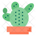 پیش‌نمایش فایل cactus-1510523 از پک کاکتوس