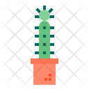پیش‌نمایش فایل cactus-1510524 از پک کاکتوس
