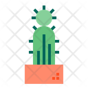 پیش‌نمایش فایل cactus-1510526 از پک کاکتوس