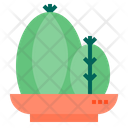 پیش‌نمایش فایل cactus-1510529 از پک کاکتوس