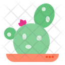 پیش‌نمایش فایل cactus-1510530 از پک کاکتوس