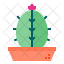 پیش‌نمایش فایل cactus-1510531 از پک کاکتوس