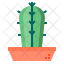 پیش‌نمایش فایل cactus-1510532 از پک کاکتوس