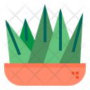 پیش‌نمایش فایل cactus-1510533 از پک کاکتوس