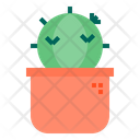 پیش‌نمایش فایل cactus-1510534 از پک کاکتوس