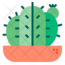پیش‌نمایش فایل cactus-1510544 از پک کاکتوس