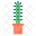 پیش‌نمایش فایل cactus-1510545 از پک کاکتوس