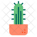 پیش‌نمایش فایل cactus-1510548 از پک کاکتوس