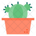 پیش‌نمایش فایل cactus-1510550 از پک کاکتوس