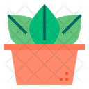 پیش‌نمایش فایل cactus-1510552 از پک کاکتوس
