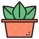 پیش‌نمایش فایل cactus-1510627 از پک کاکتوس