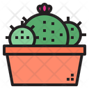 پیش‌نمایش فایل cactus-1510632 از پک کاکتوس