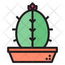 پیش‌نمایش فایل cactus-1510642 از پک کاکتوس