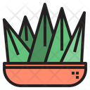 پیش‌نمایش فایل cactus-1510644 از پک کاکتوس