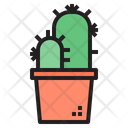 پیش‌نمایش فایل cactus-1510647 از پک کاکتوس