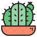 پیش‌نمایش فایل cactus-1510655 از پک کاکتوس