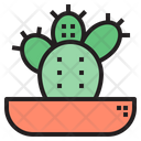 پیش‌نمایش فایل cactus-1510657 از پک کاکتوس