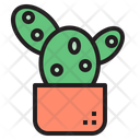 پیش‌نمایش فایل cactus-1510660 از پک کاکتوس