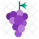 پیش‌نمایش فایل grape-1542295 از پک میوه و سبزیجات