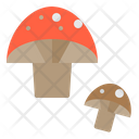 پیش‌نمایش فایل mushroom-1542290 از پک میوه و سبزیجات