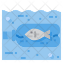 پیش‌نمایش فایل fish-stuck-in-bottle-2076936 از پک آلودگی پلاستیکی