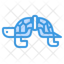 پیش‌نمایش فایل rope-stuck-on-turtle-2076731 از پک آلودگی پلاستیکی