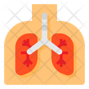 پیش‌نمایش فایل lung-2312667 از پک پزشکی