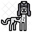 پیش‌نمایش فایل ariegeois-dog-2299686 از پک سگ