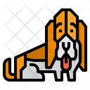 پیش‌نمایش فایل basset-hound-dog-2299685 از پک سگ