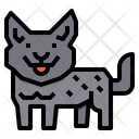 پیش‌نمایش فایل cattle-dog-2299679 از پک سگ
