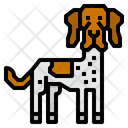 پیش‌نمایش فایل danish-pointer-dog-2299678 از پک سگ