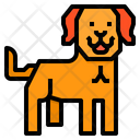 پیش‌نمایش فایل labrador-dog-2299669 از پک سگ