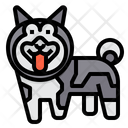 پیش‌نمایش فایل norwegian-elkhound-dog-2299666 از پک سگ