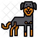 پیش‌نمایش فایل rottweiler-dog-2299664 از پک سگ