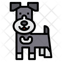 پیش‌نمایش فایل schnauzer-dog-2299662 از پک سگ