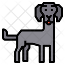 پیش‌نمایش فایل weimaraner-dog-2299659 از پک سگ