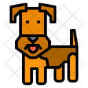 پیش‌نمایش فایل welsh-terrier-dog-2299658 از پک سگ