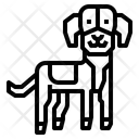 پیش‌نمایش فایل hamiltonstovare-dog-2299763 از پک سگ