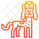 پیش‌نمایش فایل ariegeois-dog-2299746 از پک سگ