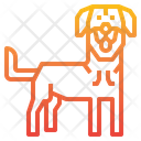 پیش‌نمایش فایل kangla-dog-2299731 از پک سگ